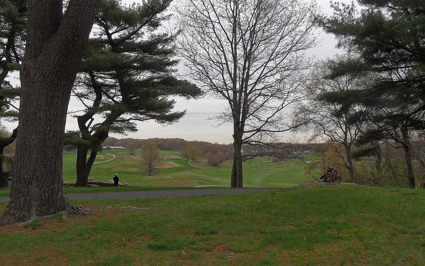 A Franklin Park For All – Take Back the Meadow